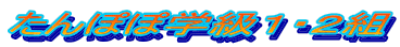 ����ۂۊw���P�E�Q�g