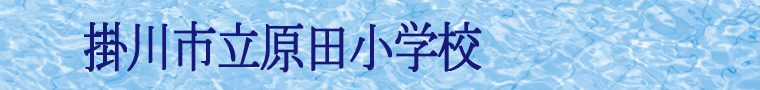wZ