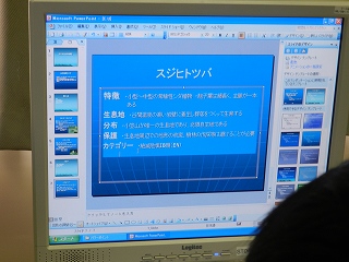�C���[�W