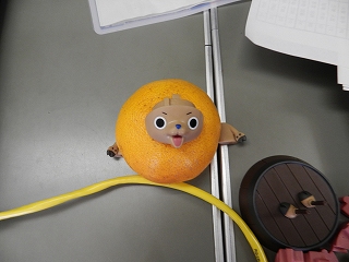 �C���[�W