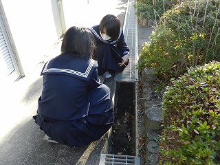 �C���[�W