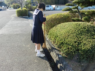 �C���[�W