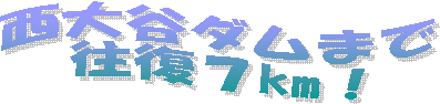 J_܂
VkmI