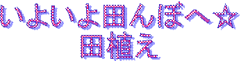 悢cڂց
cA