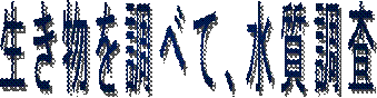 𒲂ׂāA