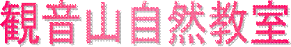 ωRR