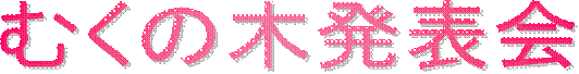ނ̖ؔ\